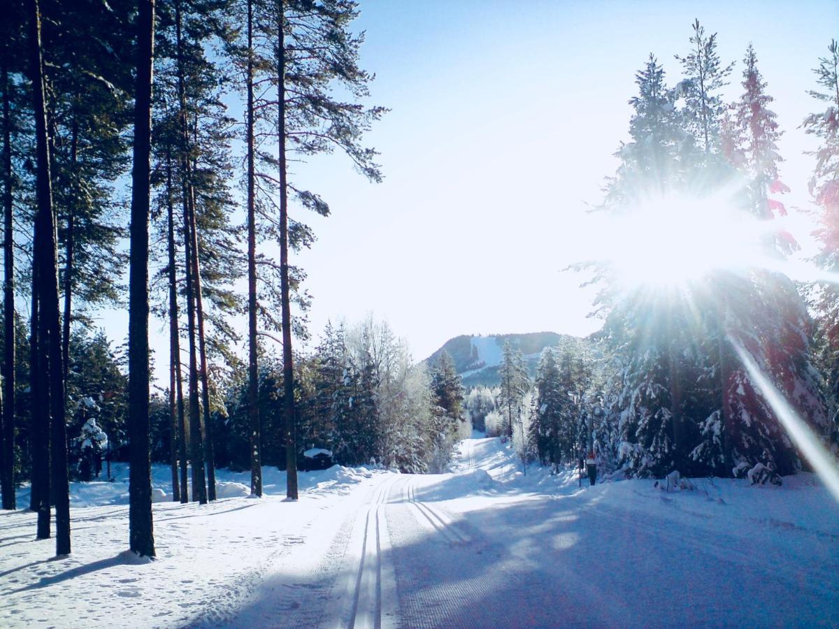 Vasa Ski Lodge Mora Buitenkant foto